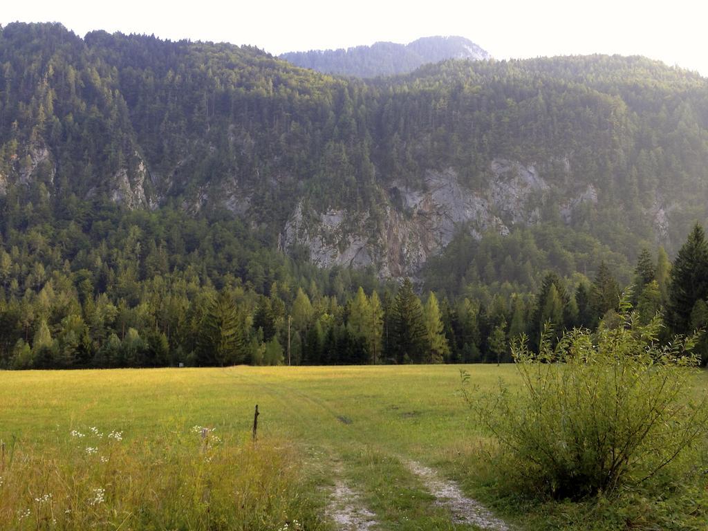 Apartment Brina Kranjska Gora Kültér fotó